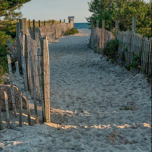 Follow Gain train Share & Collect 💙 Tag your PFF’s! - Picture 7 of 10